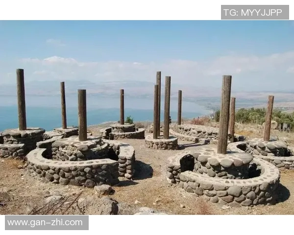 阿克西沙与标准日的精彩对决分析与战术探讨