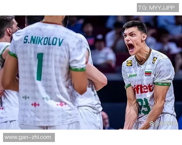 伊朗男排对决比利时展现实力较量精彩瞬间回顾 伊朗男排对决比利时展现实力较量精彩瞬间回顾